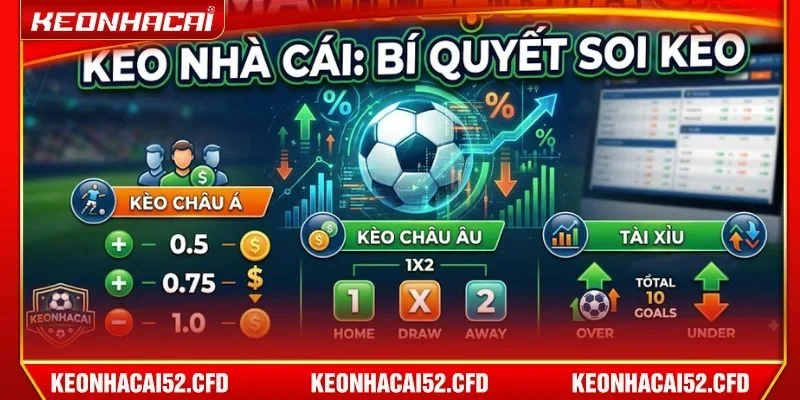 Bật mí kỹ thuật soi kèo cá cược giúp người chơi thắng lớn