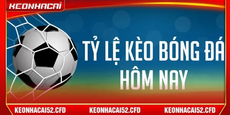Đánh giá biến động tỷ lệ kèo rất quan trọng trong cá cược