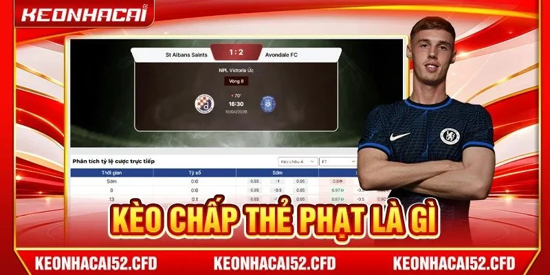 Kèo Chấp Thẻ Phạt Là Gì? Bật Mí Cách Phân Tích Từ A-Z