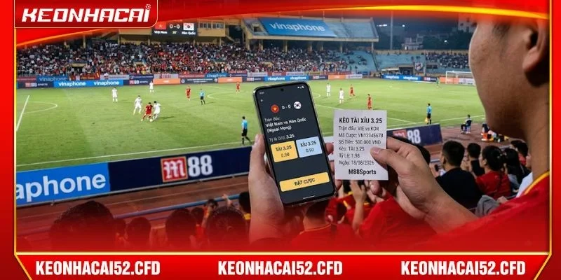 Kèo Tài Xỉu 3.25 được người chơi yêu thích bởi tính xanh chín