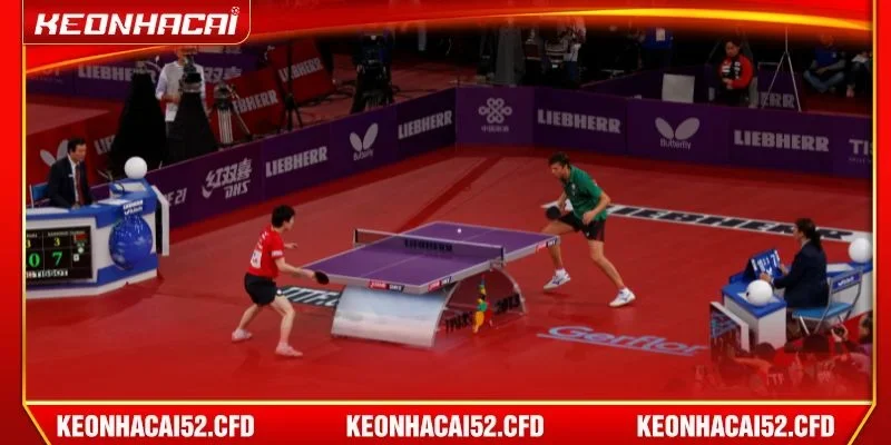 Bạn đọc đánh giá rất cao chuyên mục Bóng Bàn tại Kèo Nhà Cái